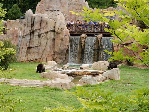The Memphis Zoo in Memphis Tennessee